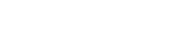 American Airlines